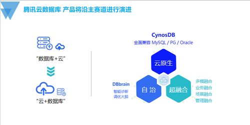 國產數據庫技術發展的探索與思考
